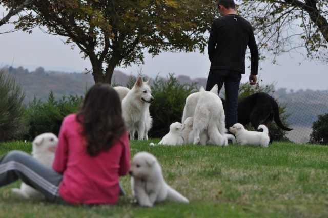 les petits à 5 semaines